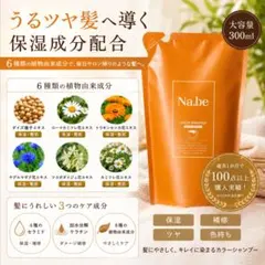 Na.be カラーシャンプー 300ml 詰替のサムネイル