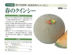 iikiw222様 リクエスト 2点 まとめ商品