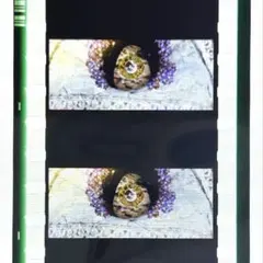 魔法少女まどか☆マギカ まどマギ フィルムコマ 入場者特典　まどか魔女化