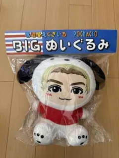 佐藤大樹ポチャコbigぬいぐるみ 佐藤大樹ポチャコbigぬいぐるみ - メルカリ