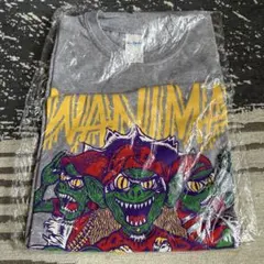 WANIMA ONE CHANCE Night tシャツ グレー