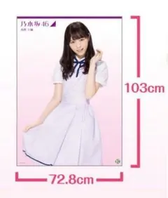 西野七瀬 乃木坂46 B2ポスター 13枚セット まとめ売り 61hJdk2aSNL._UF350,350_QL50_.jpg