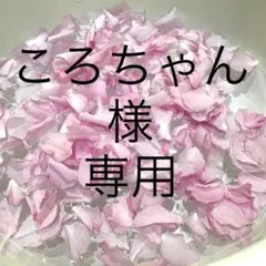 ころちゃん様専用