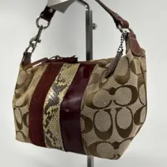 良品✨コーチ　アクセサリーポーチ　パイソン　シグネチャー　キャンバス