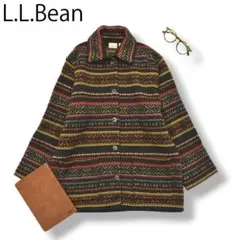 ラトビア製 エルエルビーン ニット カーディガン 総柄 マルチカラー ♪