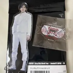 Stray Kids VR アクリルスタンド チャンビン スキズ