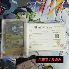 ミュウツー Mewtwo ARS9 PSA Expansion 拡張 - メルカリ