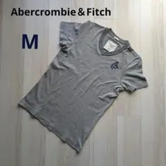 Abercrombie & Fitch アバクロ グレー Vネック Tシャツ M