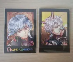 あくねこ フルーレ ぱしゃこれ2枚セット