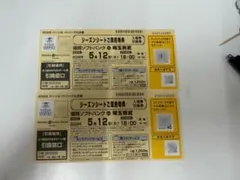 福岡ソフトバンクホークス キリン回数券 10枚セット みずほPayPayドーム 福岡ソフトバンクホークス キリン回数券 10枚セット みずほPayPay