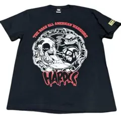 Item thumbnail for item 98cffd3b-18cd-4d24-911a-49e2e547bc5c