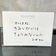 seventeen セブチ ドギョム メッセージ トレカ ドームツアー SVT