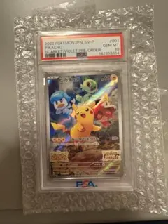 2026年最新】みんなでぼうけん スカーレットバイオレットの人気