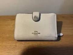 Item thumbnail for item 77cbdb8a-0f96-407f-a958-0fd515cd98db