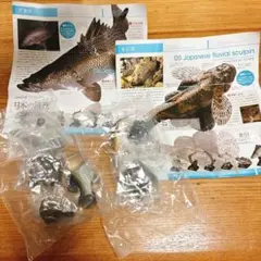 h*r様 アカメ＆カジカ (2体セット)日本の清流 増補特装版 ネイチャーテクニ