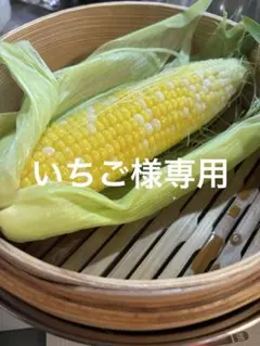 いちご様専用です。