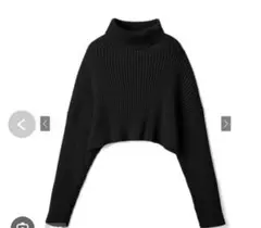 グレイル グレイル タートルネッククロップド丈ニットトップ