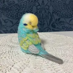 セキセイインコ☆レインボーブルー☆おやすみver.2のサムネイル