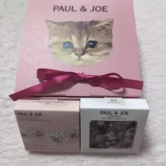 2/30まで値下げPAUL & JOE プレスドブラッシュ D22 限定ケース