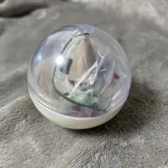 リルリンリン　2024