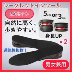 《2足セット》 シークレットインソール 2段階調整 3cm 5cm 中敷 通気性