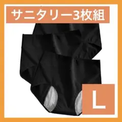 Ｌサニタリーショーツ 生理用ショーツ 綿 漏れ防止 昼夜用 ブラック3枚