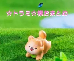 ☆トラミ☆様おまとめ