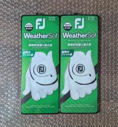 Item thumbnail for item dbea9cc5-e7c6-474e-8d7f-ed3abc354926