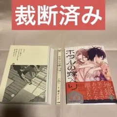 【裁断済】ホタルの嫁入り 9巻（単品）