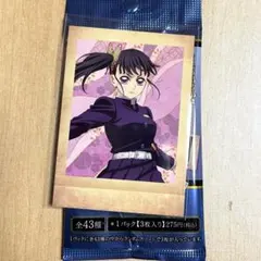 鬼滅の刃 パシャこれ 栗花落カナヲ 48枚 2026年最新】栗花落カナヲ ぱしゃこれの人気アイテム - メルカリ