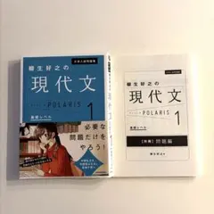 柳生好之の現代文POLARIS 1 基礎レベル KADOKAWA