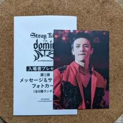 映画 特典 DominATE experience ヒョンジン