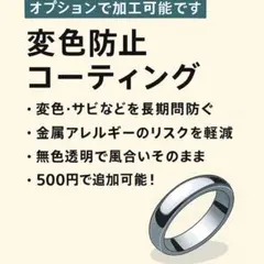 【購入者様専用】変色防止コーティング施工サービス（＋500円オプション）