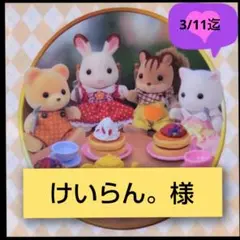 けいらん。様専用ページです