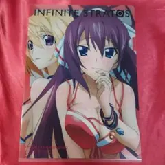 2025年最新】インフィニットストラトスの人気アイテム - メルカリ