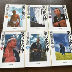 菜の花の沖 1～6 6冊セット