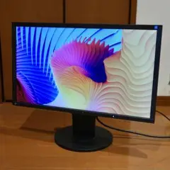 EIZO EV2336W 23インチ液晶モニター