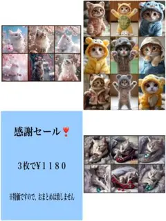 感謝セール❣️２３