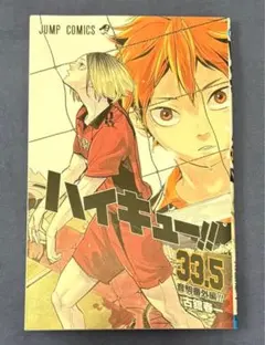 ハイキュー!! 33.5巻 音駒番外編