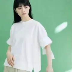 Item thumbnail for item 9d0b0658-011b-439b-a74f-4dfb5d5cb8f4