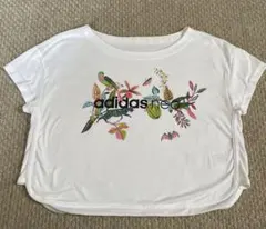 adidas neo 花と鳥柄プリントクロップドTシャツ