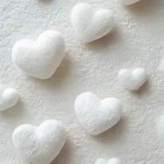 うぴさま リクエスト専用ページ⋆*