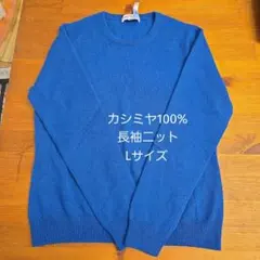 【早い者勝ち】11/26まで値下げ　カシミヤ100% 長袖ニット Lブルー