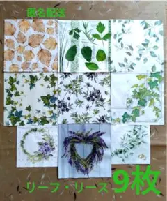 Item thumbnail for item 9170a1f0-1f2a-42e5-990a-324fd19b4f36