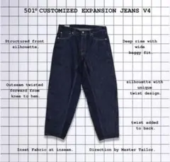 Levi's 501 CUSTOMIZED EXPANSION JEANS V4