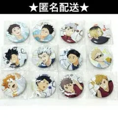 ハイキュー　トレーニングメニュー　缶バッジ　コンプ　日向　黒尾　及川　北　他