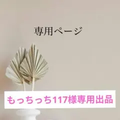 もっちっち117様専用出品になります