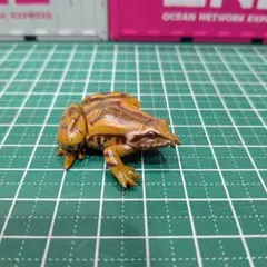 Neko様 リクエスト 5点 まとめ商品