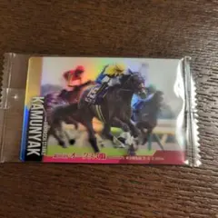 JRA東京競馬場 G1ポスターデザインカード カムニャック オークス