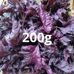 赤しそ　赤紫蘇　200g. 279のサムネイル